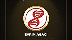 Evrim Ağacı, Boğaziçi Bilişim Ödülleri’nde "Yılın En İyi İçerik Sitesi" Kategorisinde Aday Gösterildi!