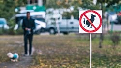 Köpek Dışkıları, Doğal Rezervlere Zarar Veriyor! Çözüm: Tasmalı Köpek Gezdirme, Daha Çok Köpek Parkı ve Daha Bilinçli Köpek Sahipleri!