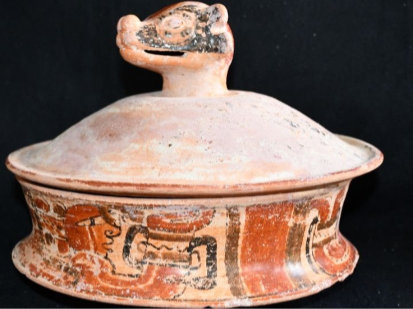 Bu seramik parçasının kapak kulpu, genellikle Maya kültüründe statü göstergesi olan bir ara kuşunun başı şeklinde modellenmiştir.