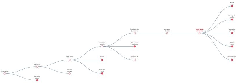 Omurgalılar altşubesini gösteren Yaşam Ağacı girdisi