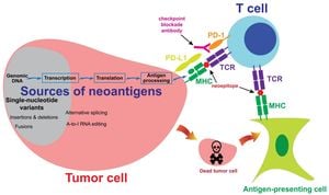 Harnessing Bacteria In Cancer Therapy: Neoantigen Production Unveiled