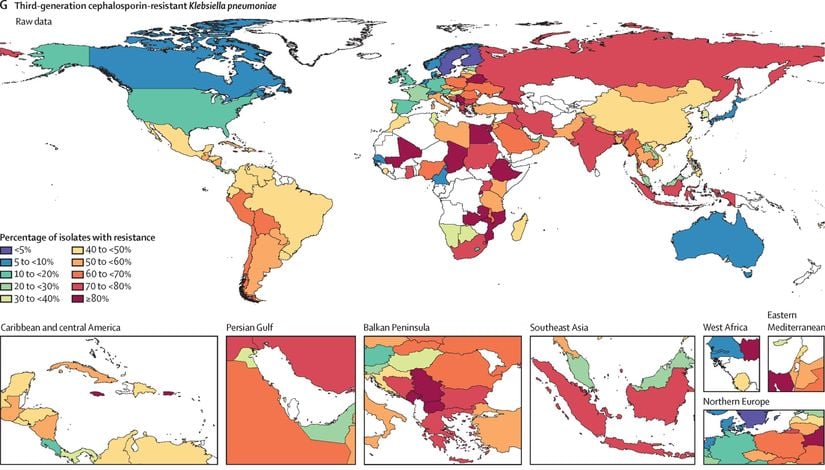 K. pneumoniae'nın üçüncü kuşak sefalosporinlere geliştirdiği direncin dünya haritasında gösterimi.