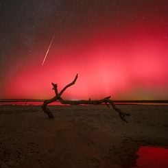 Florida Northern Lights