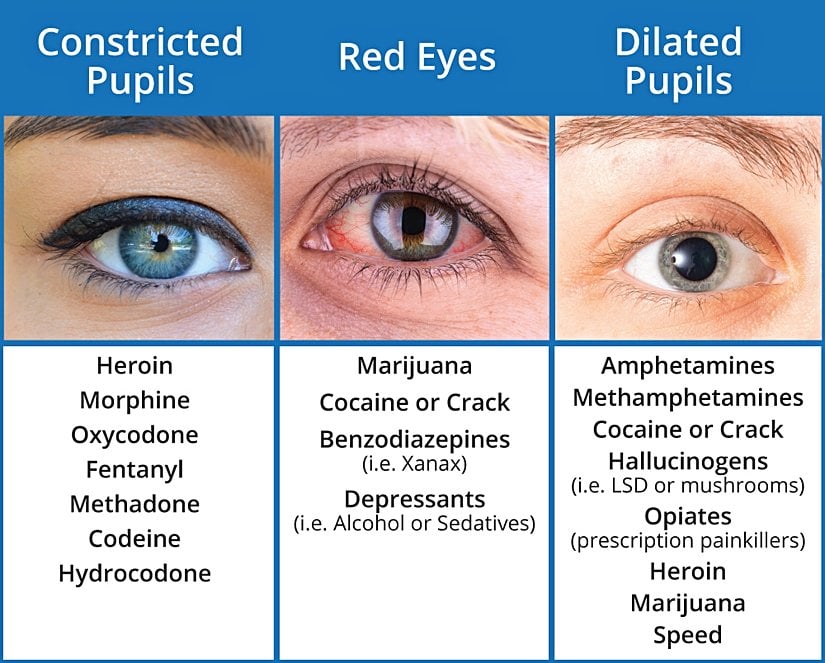 Çeşitli maddelerin pupiller üzerindeki etkileri.