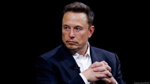 Elon Musk's Support For Germany's AfD Sparks Controversy