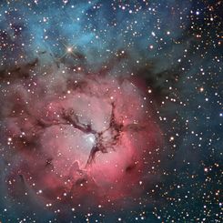 The Trifid Nebula in Stars and Dust