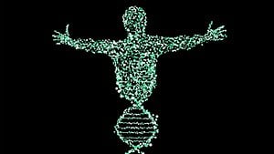 Bencil Gen Teorisi Nedir? Evrimin Gen Merkezci Modeli Bize Neler Öğretir?