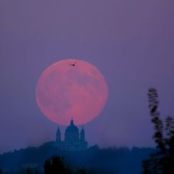 September's Harvest Moon