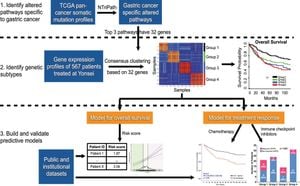 New Biomarker Signature Predicts Immune Response For Gastric Cancer Patients