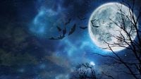 1998 movie Practical Magic gets a sequel