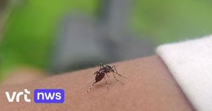 Flanders Launches Campaign Against Tiger Mosquito Spread
