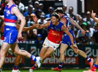 Never-say-die Lions lift levels to chase down Dogs