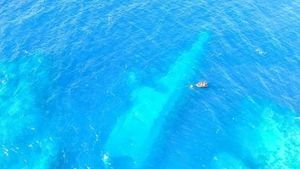 New Zealand Pays Samoa Millions After Navy Ship Sinks
