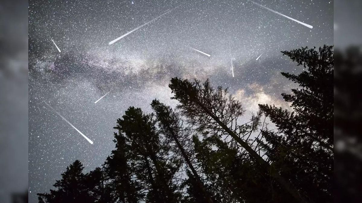 Geminid Meteor Shower To Peak On December 14, 2024 The Pinnacle Gazette