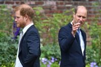 How Prince Harry’s private tea with King Charles could mark start of new era