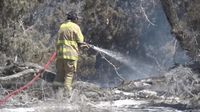 Crabapple Fire injures firefighter, ignites new flames