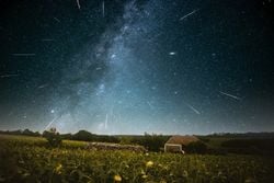 Üç Perseid Gecesi