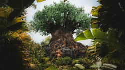 İnsanoğlunun En Büyük Hatası: Bağlamı Unutmak ve Hayat Ağacının Öğrettiği Hakikatler