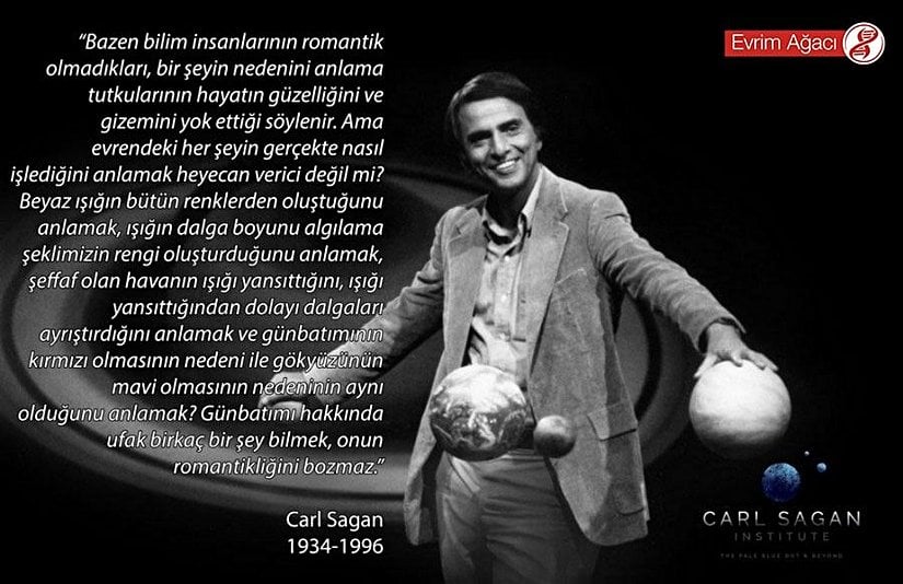 “Bazen bilim insanlarının romantik olmadıkları, bir şeyin nedenini anlama tutkularının hayatın güzelliğini ve gizemini yok ettiği söylenir. Ama evrendeki her şeyin gerçekte nasıl işlediğini anlamak heyecan verici değil mi? Beyaz ışığın bütün renklerden oluştuğunu anlamak, ışığın dalga boyunu algılama şeklimizin rengi oluşturduğunu anlamak, şeffaf olan havanın ışığı yansıttığını, ışığı yansıttığından dolayı dalgaları ayrıştırdığını anlamak ve günbatımının kırmızı olmasının nedeni ile gökyüzünün mavi olmasının nedeninin aynı olduğunu anlamak? Günbatımı hakkında ufak birkaç bir şey bilmek, onun romantikliğini bozmaz.”