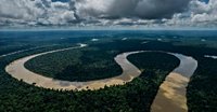 To Meet Pledges to Save Forests Spending Must Triple, U.N. Report Says