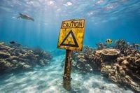 Elderly Cruise Passenger Found Dead After Being Left Behind on Australia’s Great Barrier Reef Island - Travel And Tour World