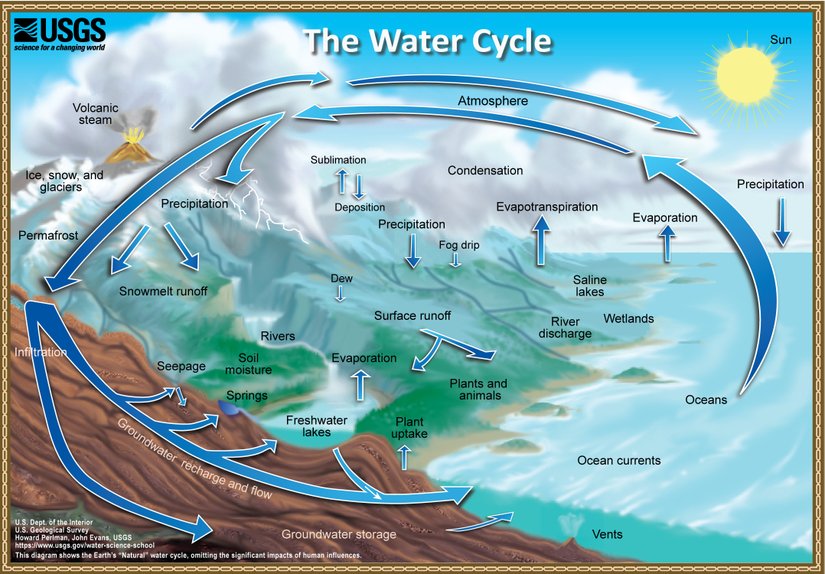 Adult's Water Cycle Poster