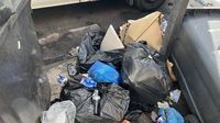 Birmingham bin strikes branded 'environmental disaster' as 40,000 tonnes of recycling burned in six months | LBC