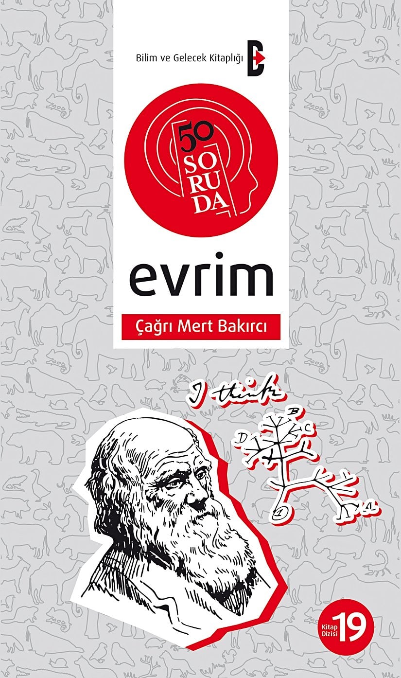 50 Soruda Evrim