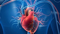 KALBE KRAMP GİRER Mİ?