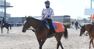 Sunrise Zepangu Triumphs In Thrilling Nagoya Grand Prix