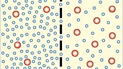 Pasif Taşıma Nedir? Hücre Zarından Enerji Harcamadan Madde Geçişi Mümkün mü?