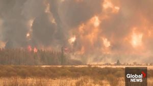 Wildfires Reshape North America Amid Climate Crisis