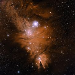 In the Vicinity of the Cone Nebula