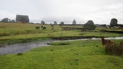 Amerika Kıtasına İlk Yerleşim Ne Zaman Oldu? Monte Verde Arkeolojik Alanının Yaşı Tartışma Yaratıyor!