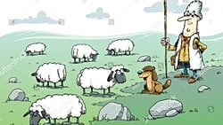 Çoban, Bilge’den Her Daim Alacaklıdır!