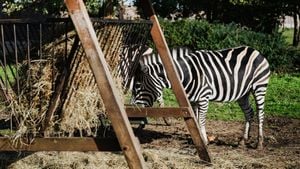 South Lakes Safari Zoo Closes, Plans New Wildlife Park