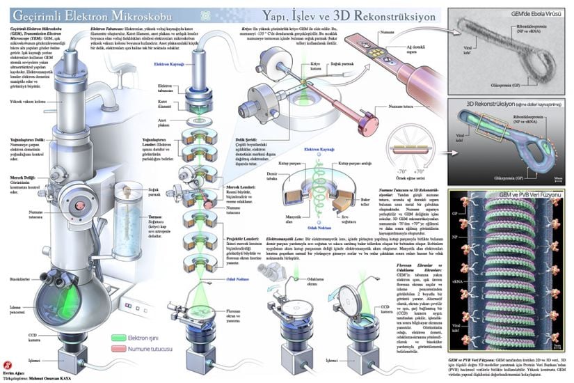 Geçirimli Elektron Mikroskobu (GEM), İngilizcede Transmission Electron Microscope (TEM) kalıbının Türkçesidir. Taramalı Elektron Mikroskobu olarak bilinen SEM (Scanning Electron Microscope) ile birlikte en sık kullanılan mikroskop türlerinden birisidir.