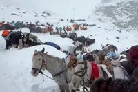 TRT World - China rescues 580 hikers stranded by snowstorm on Mount Everest slopes