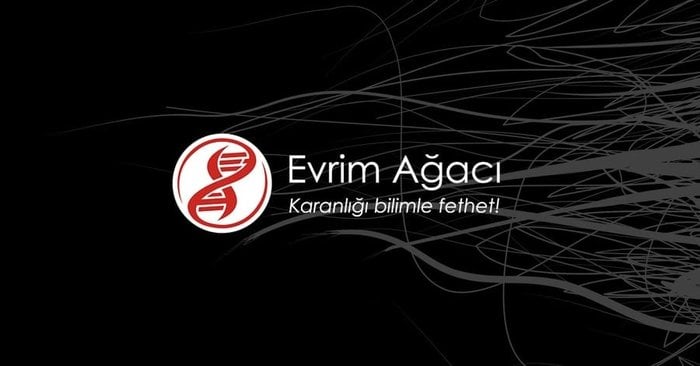 Çapraz Bulmaca: Günlük Bilim Bulmacası