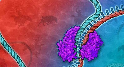 Bilim İnsanları Binlerce Geni Tek Reaksiyon ile Klonlamayı Başardı!