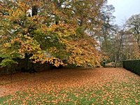 Weekend Outlook - A band of stubborn rain cuts across the UK as Saturday becomes windy