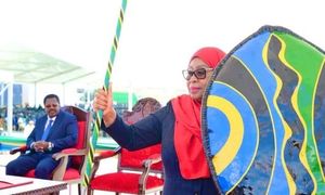 Tanzania Launches Inquiry Into Deadly Election Unrest