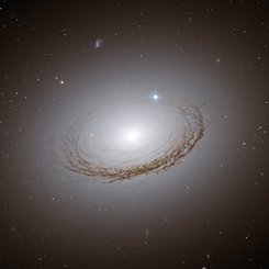 Unusual Dusty Galaxy NGC 7049