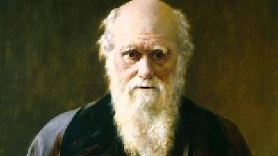 Charles Darwin, Evrim Teorisi'nin Aşılamayacak Güçlükte Olduğunu İtiraf Etti mi?