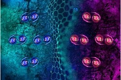 MIT Araştırmacıları, Hem Süperiletken Hem de Mıknatıs Olan Yeni Bir Malzeme Keşfetti.