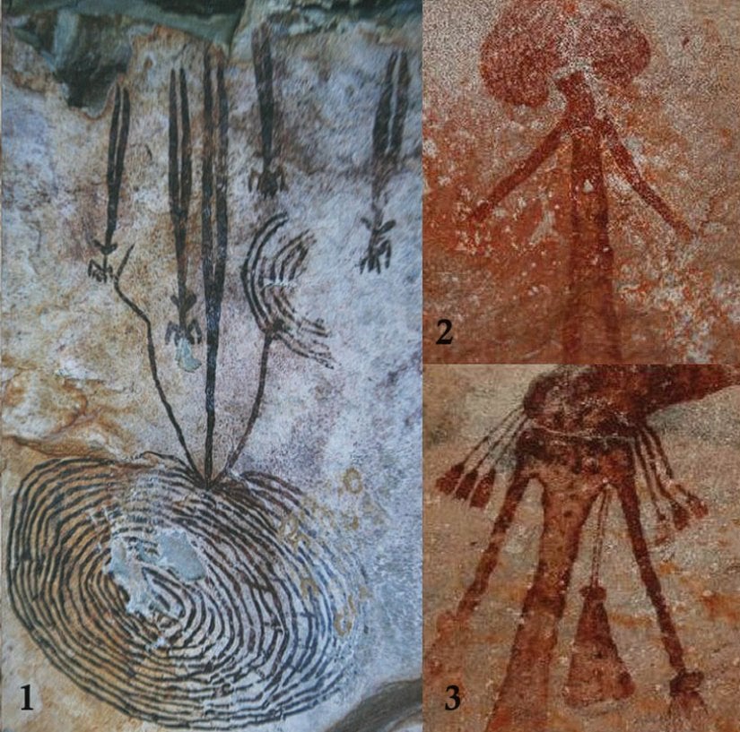 Bradshaw kaya sanatlarından 3 farklı örnek.