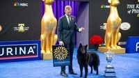 Soleil, a Belgian sheepdog, takes Best in Show at the National Dog Show