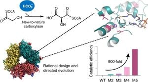 New Catalytic Method Converts CO2 Into Valuable β-Alkynyl Acids