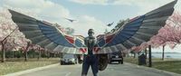'Captain America: Brave New World' is coming to 4K Ultra HD, Blu-ray™, DVD and Limited-Edition Steelbook® this May - The Arts Shelf