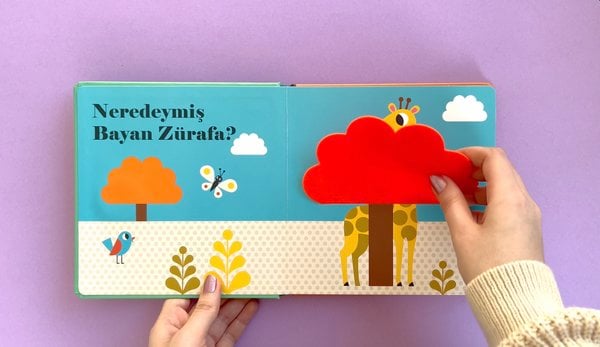 Neredeymiş Bay Aslan?